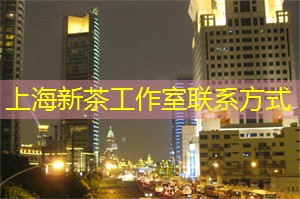 上海青少年文化发展的未来