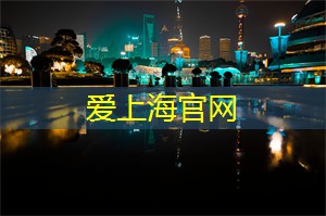 从天文台俯瞰的魔都夜景