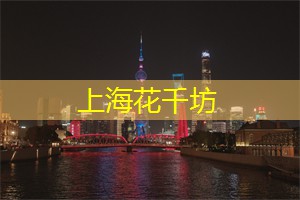 在上海的特色酒吧中畅聊